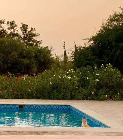 piscine vertical