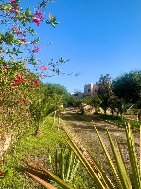 Lavilla